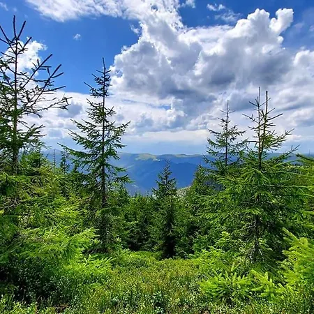 Nova 2* 타타리브